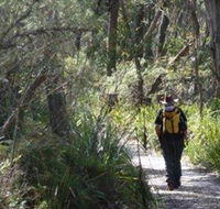 Barren Grounds Nature Reserve - Tourism Noosa