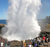 Kiama Blowhole - Tourism Noosa