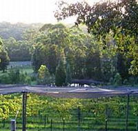 Lyrebird Ridge Organic Winery - Tourism Noosa