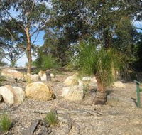 Curtis Park Arboretum - Tourism Noosa