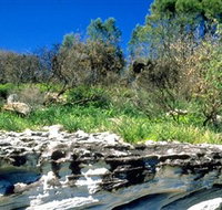 Abrahams Bosom Reserve - Tourism Noosa