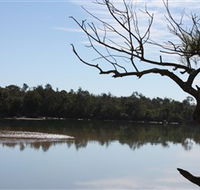 North Coast Holiday Parks Boambee Creek Reserve - Tourism Noosa