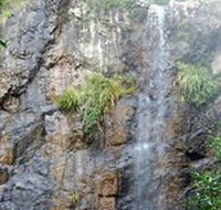 Wedding Bells Forest Drive - Tourism Noosa
