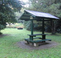 Pine Creek State Forest - Tourism Noosa