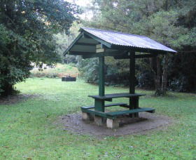 Pine Creek State Forest - Tourism Noosa 0