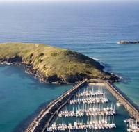 Muttonbird Island Nature Reserve - Tourism Noosa