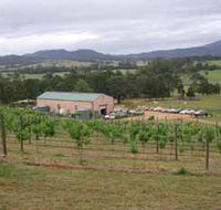 Villa d Esta Vineyard - Tourism Noosa