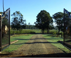 Moorebank Private Vineyard - Tourism Noosa 3