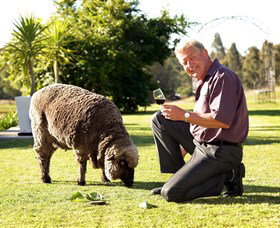 Moorebank Private Vineyard - Tourism Noosa 2