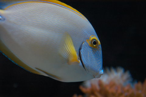 Solitary Islands Aquarium - Tourism Noosa 3
