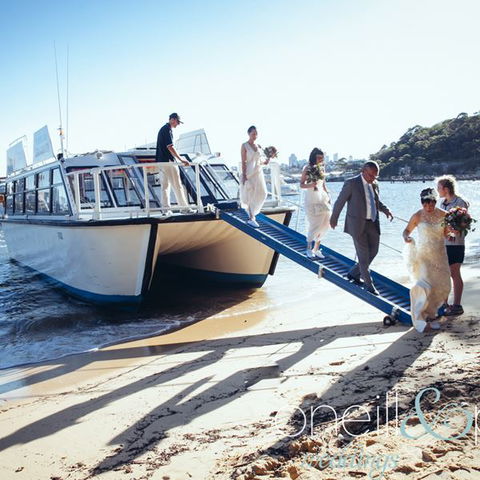 H2O Maxi Taxis - Tourism Noosa 3