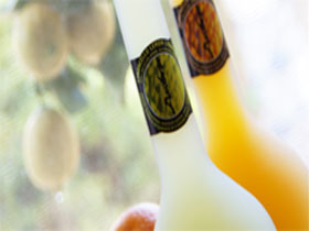 Ambra Limoncello - Tourism Noosa 0