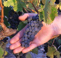 Eagles Rise Wine - Tourism Noosa