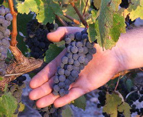 Eagles Rise Wine - Tourism Noosa 0