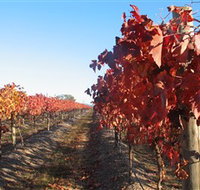 Kooyonga Creek Wines - Tourism Noosa