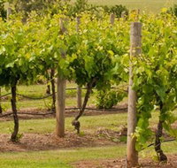 Mt Coghill Vineyard - Tourism Noosa