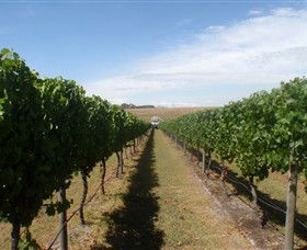 Cannibal Creek Vineyard - Tourism Noosa 1