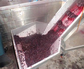 Cannibal Creek Vineyard - Tourism Noosa 6