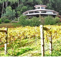 Peveril Vineyard/Beechy Berries - Tourism Noosa