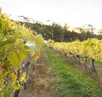 Harcourt Valley Vineyards - Tourism Noosa