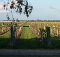 Water Wheel Vineyards - Tourism Noosa