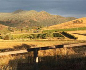 Optimiste Wines - Tourism Noosa 0