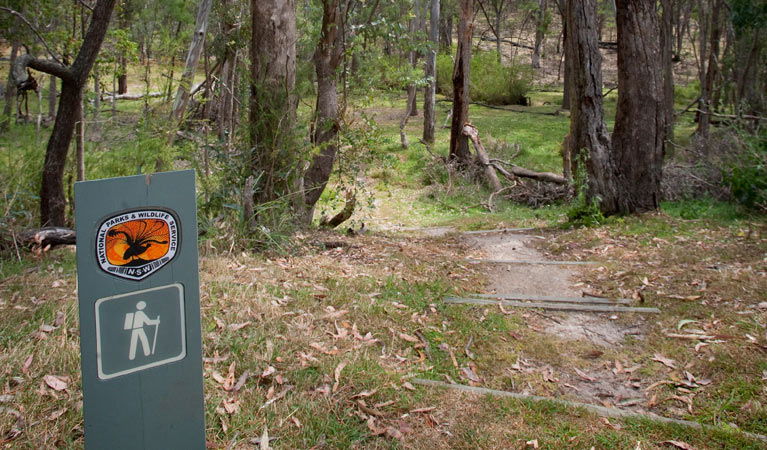 Munghorn NSW Tourism Noosa