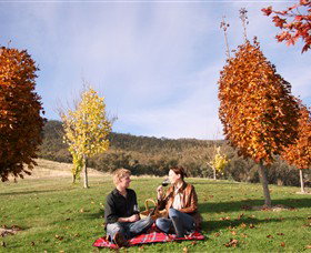 Gapsted Wines - Tourism Noosa 5