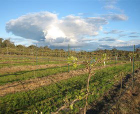Flyfaire Wines - Tourism Noosa 7