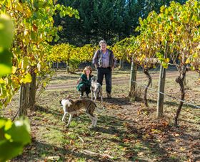 Fawcett VIC Tourism Noosa