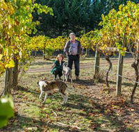 Little River Wines of Taggerty - Tourism Noosa