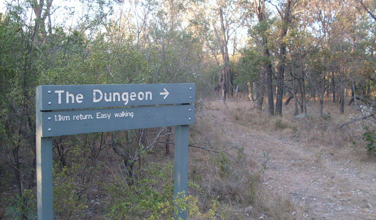  Tourism Noosa