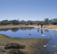 Camel Soak - Tourism Noosa