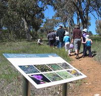 South Gundagai Woodlands Walk - Tourism Noosa