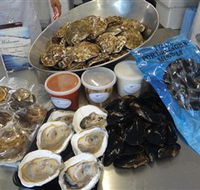 Advance Mussel Supply - Tourism Noosa