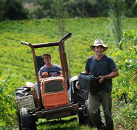Kellybrook Winery Kelly Brothers Cider  Riders Brew Co. - Tourism Noosa