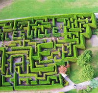 Hedgend Maze and Healesville Laser Sport - Tourism Noosa