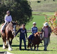 Bathurst Farm Experience - Tourism Noosa