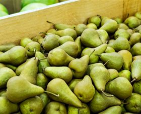 Dandenong Market - Tourism Noosa 1
