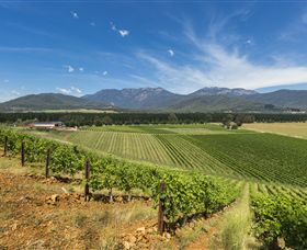 Feathertop Winery - Tourism Noosa 3