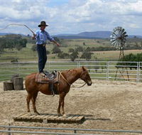 Boggy Creek Shows - Tourism Noosa