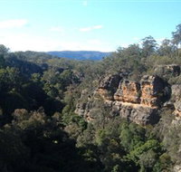 Ferntree Gully Reserve - Tourism Noosa