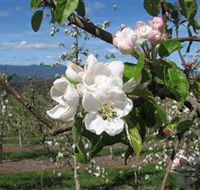 Mouat's Farm - Tourism Noosa