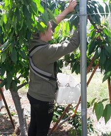 Mouat's Farm - Tourism Noosa 4