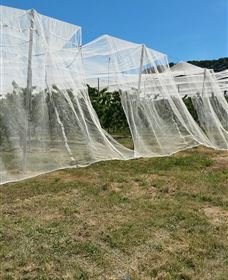 Mouat's Farm - Tourism Noosa 5