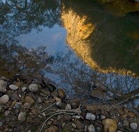 Abercrombie Karst Conservation Reserve - Tourism Noosa