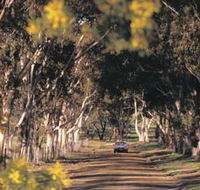 Albert Facey Heritage Trail - Tourism Noosa