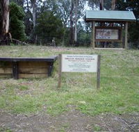 Shelley Forest Camp - Tourism Noosa