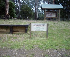Shelley Forest Camp - Tourism Noosa 0