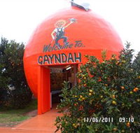 Gayndahs Big Orange - Tourism Noosa
